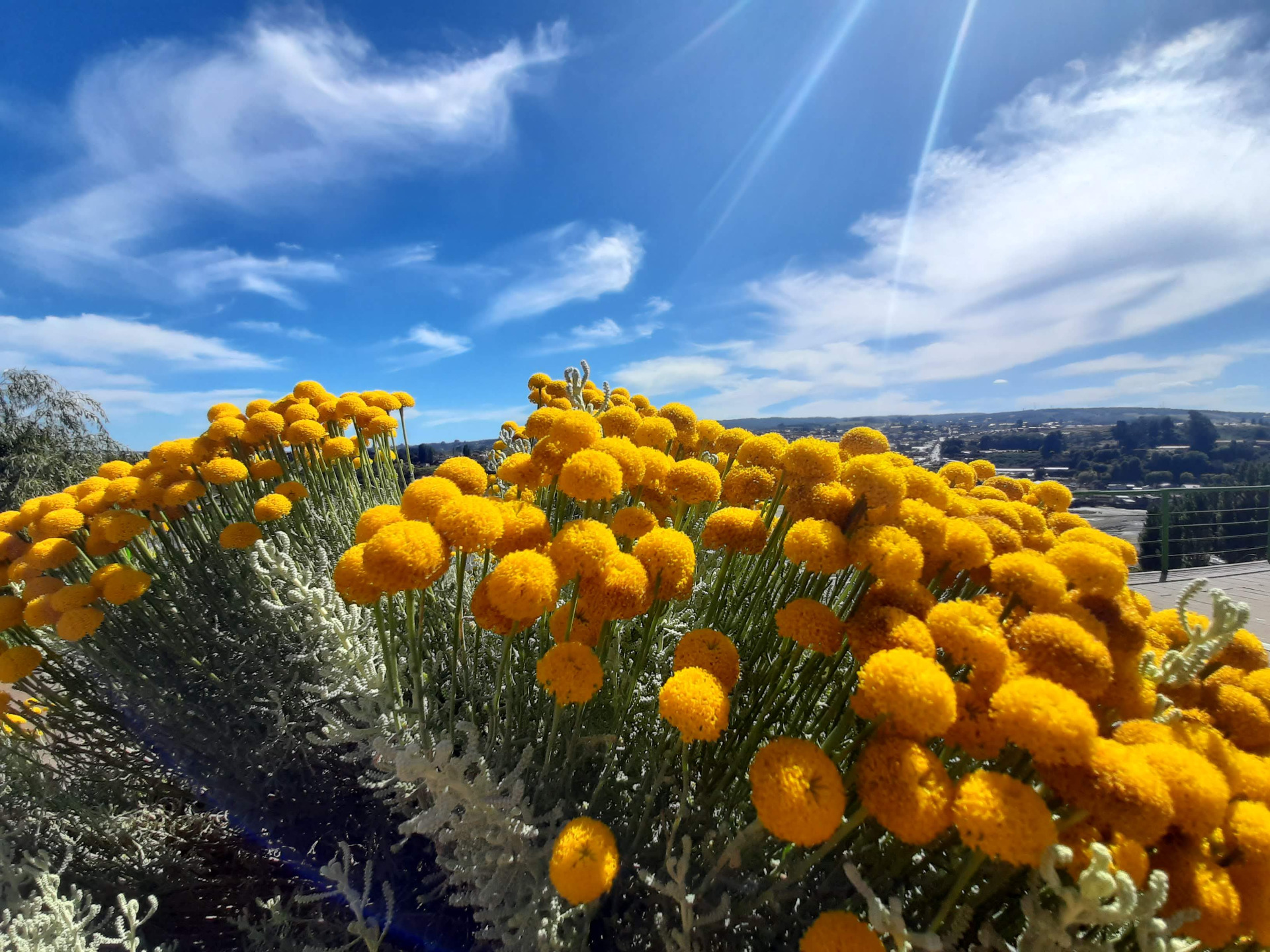 El alma en y del paisaje como inspiración arteterapéutica